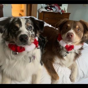 Meet your Posher, Rhett